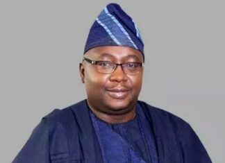 fec adebayo adelabu e