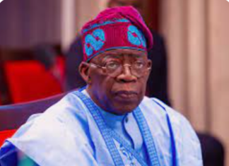 cc tinubu