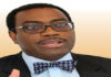 dc akinwumi adesina