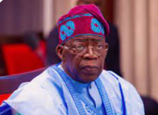 acd tinubu