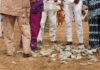 deacd naira abuse