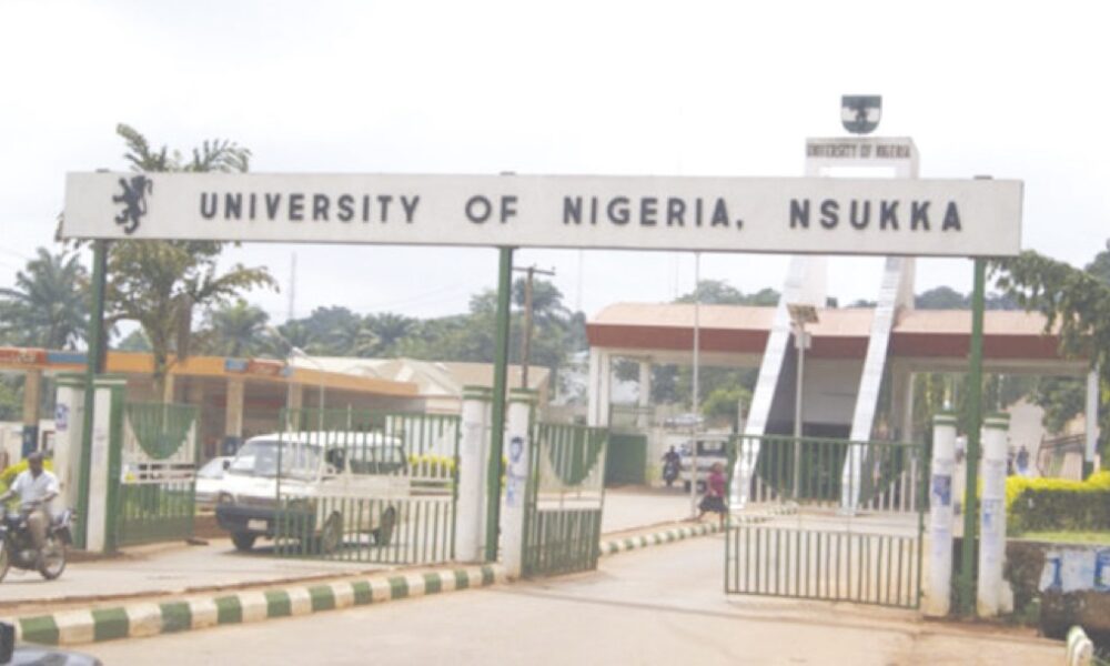 Unn centre to build cultural village for teaching preservation of igbo language culture nigeria newspapers online