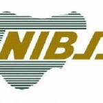 bd nibss logo