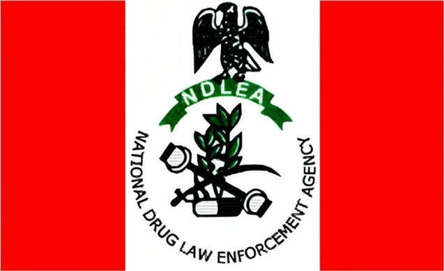 Ndlea intercepts n3 2m counterfeit cash lethal illicit substance - nigeria newspapers online