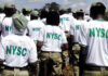 ed nysc