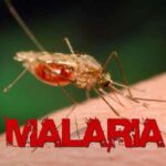 e malaria