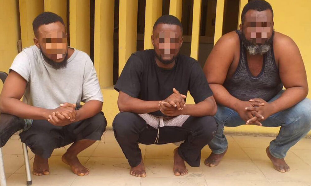 Police nab two suspects for sexual assaults - nigeria newspapers online