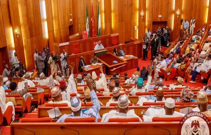 Senate backs fg cbn over cybersecurity levy - nigeria newspapers online