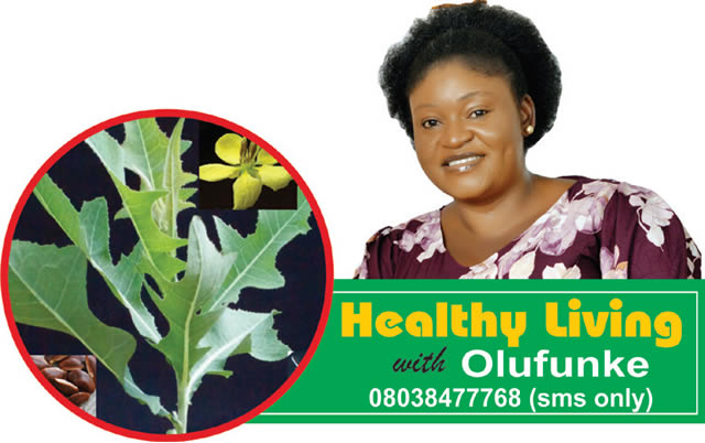 Gluten intolerance 1 - nigeria newspapers online