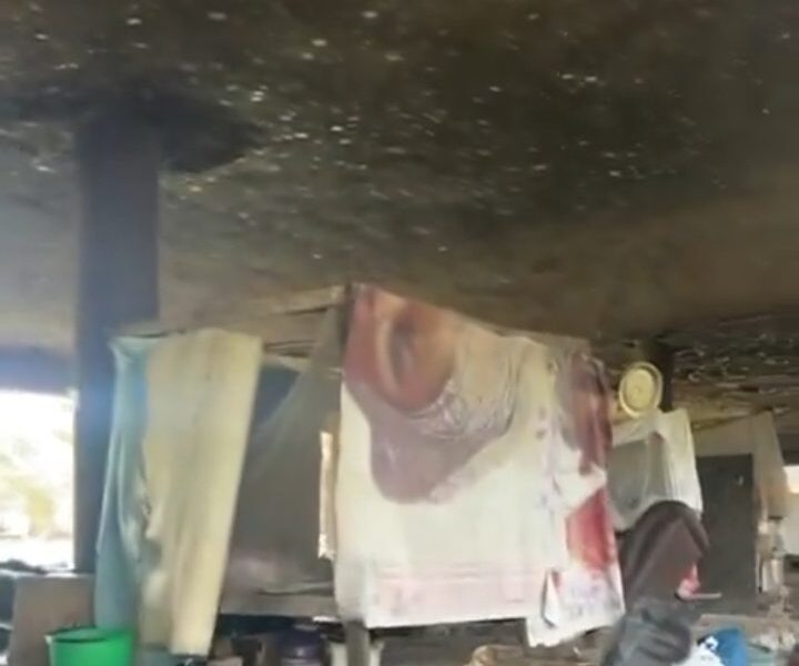 Video lagos uncovers another under-bridge apartment - nigeria newspapers online