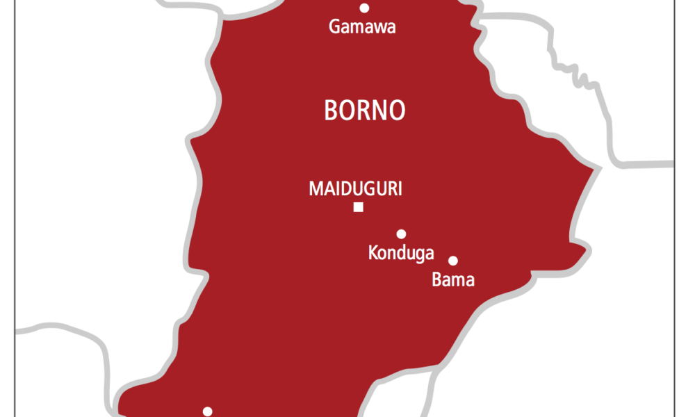 Iswap fighters kill dpo in borno - nigeria newspapers online