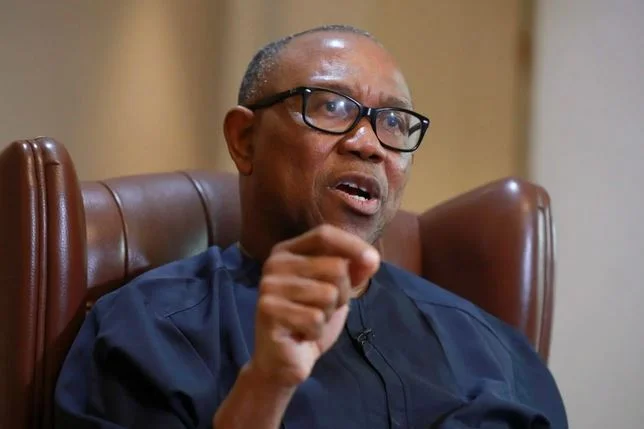 Budgeting n10bn for parks n1bn for hostels in 12 varsities abnormal peter obi - nigeria newspapers online