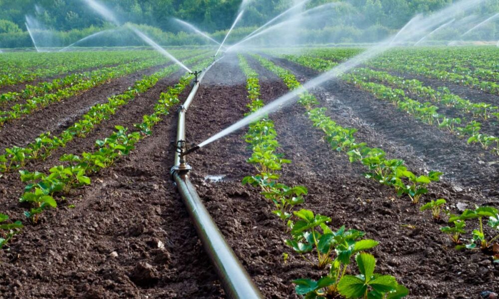 Attaining food security through sustainable irrigation agriculture