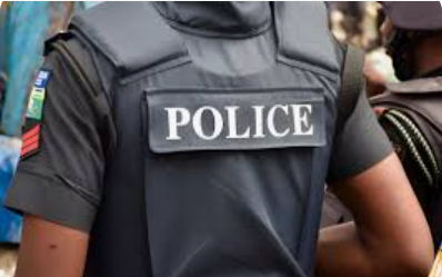 In search of new police model ii - nigeria newspapers online