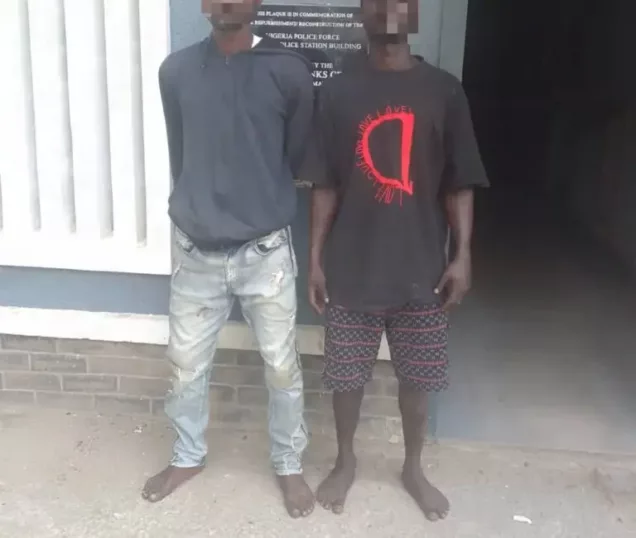 Police arrest two suspected fraudsters in lagos - nigeria newspapers online