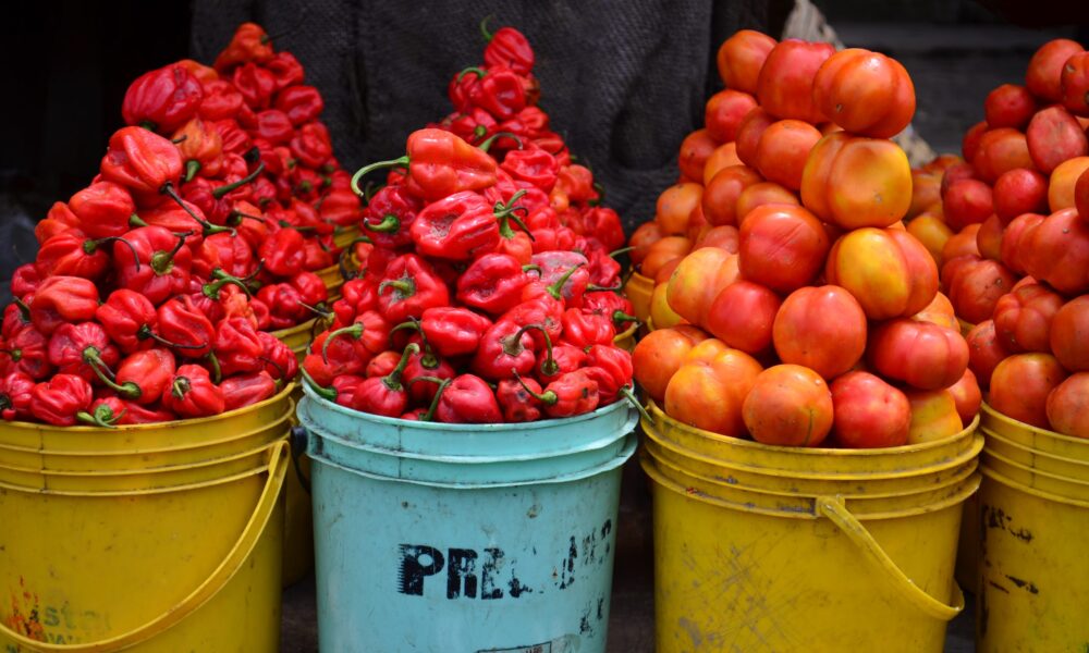 Basket of tomatoes increased from ₦40,000 to ₦150k in one year — Rewane