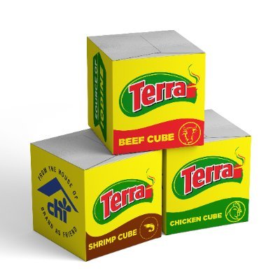 Preserving nigerian culinary heritage with terra seasoning cube - nigeria newspapers online