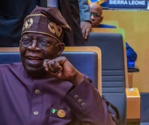 Tinubu makes top fresh appointments for two federal agencies - nigeria newspapers online