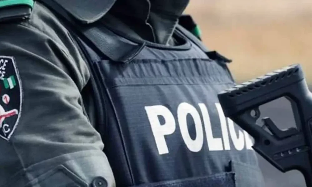 In search of new police model i nigeria newspapers online