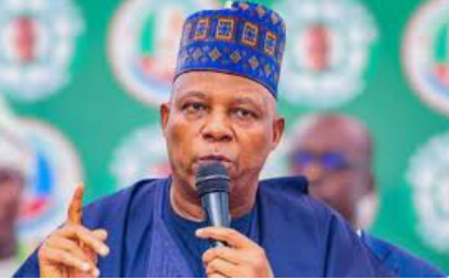 Fgs policies averted economic collapse shettima - nigeria newspapers online