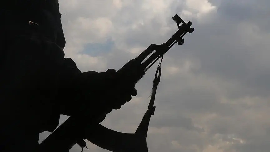 Unknown gunmen kill dpo in borno - nigeria newspapers online