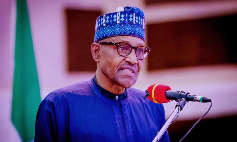 Buhari im pleased many nigerians have gone back to farm - nigeria newspapers online