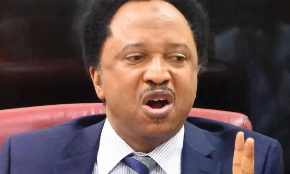 2027: Northern politicians’ visit to Buhari plot to unseat Tinubu – Shehu Sani