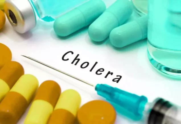 Ogun laments lack of cholera vaccine as state records one death nine cases - nigeria newspapers online