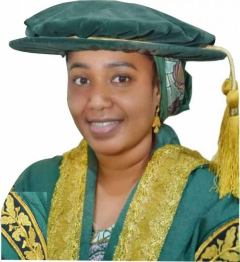 Uniabuja appoints 41-year-old professor as acting vc - nigeria newspapers online