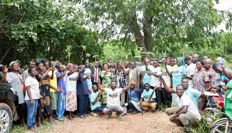 AstraZeneca And Partners Reinforce Commitment To Restoring Degraded Forests For Healthy Environment – Independent Newspaper Nigeria