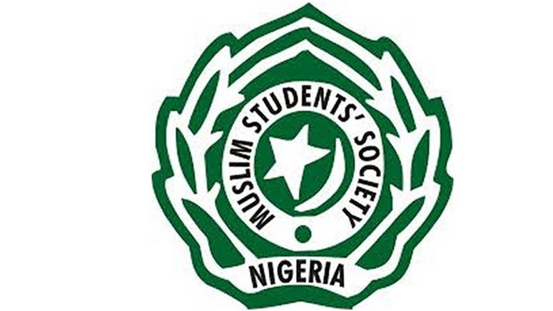 Mssn 70 from dry seed to giant tree - nigeria newspapers online