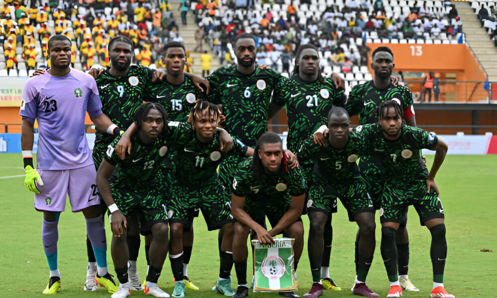 Nff to hire foreign technical adviser for super eagles - nigeria newspapers online