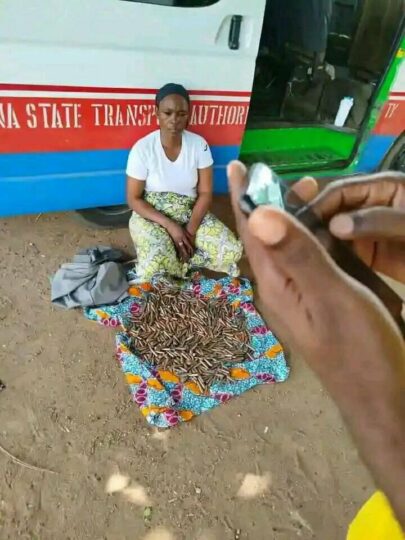 Woman caught with ammunition in katsina - nigeria newspapers online