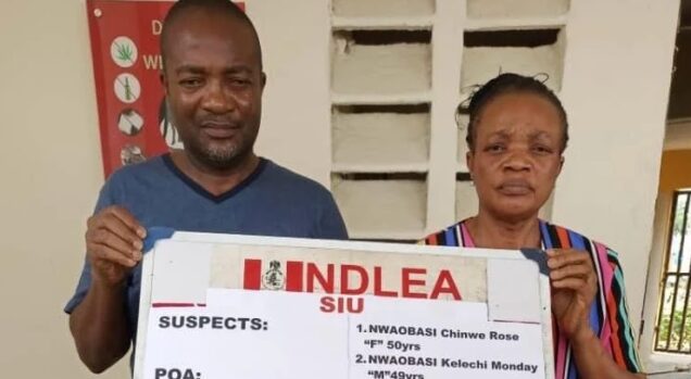 Ndlea nabs 3 drug barons seizes drugs worth n4 1bn in aba - nigeria newspapers online