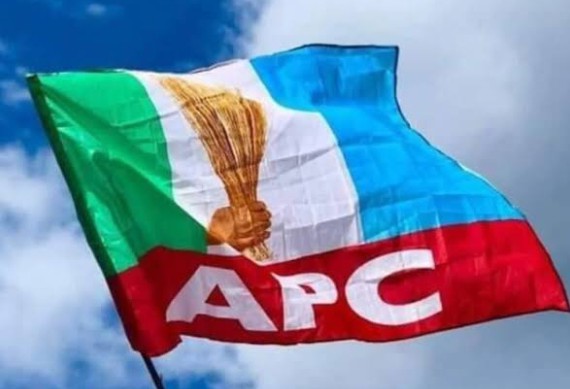 APC clears LG election in Yobe