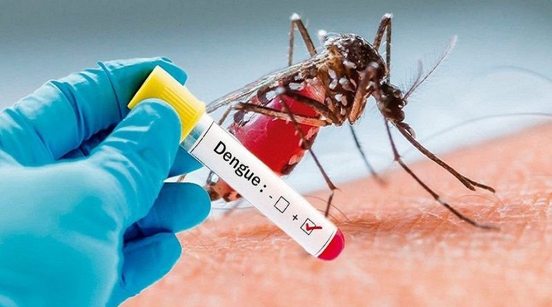 Dengue, mosquito-borne diseases rising in Europe – EU agency