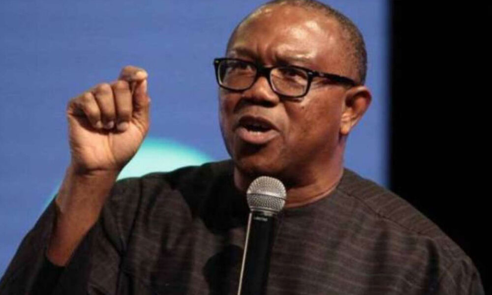 Democracy day dont gloat over tinubus fall peter obi - nigeria newspapers online