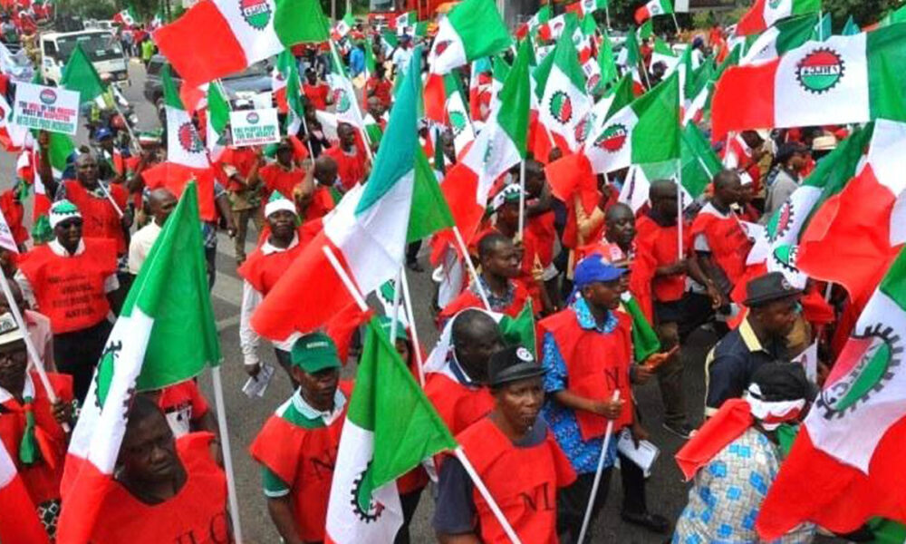 Labour tuc ground govt business activities across ssouth seast - nigeria newspapers online