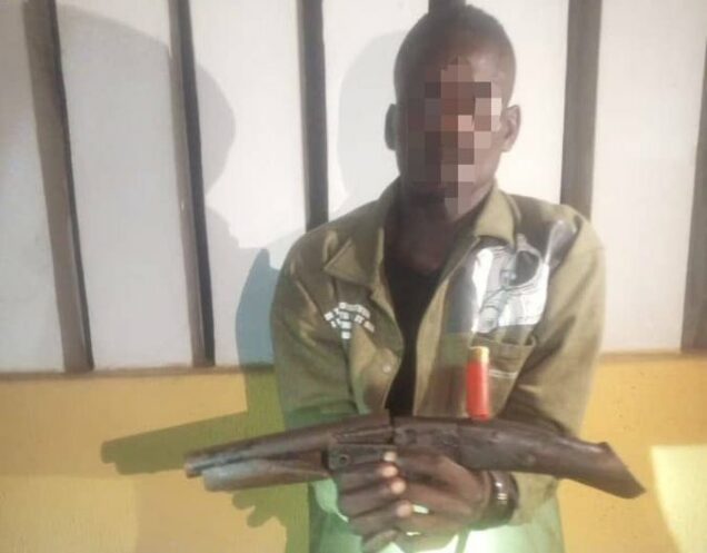 Lagos police nab deadly robber with gun in agege - nigeria newspapers online