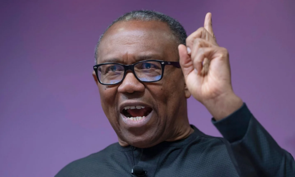 Why nigeria must learn from south africa election peter obi - nigeria newspapers online