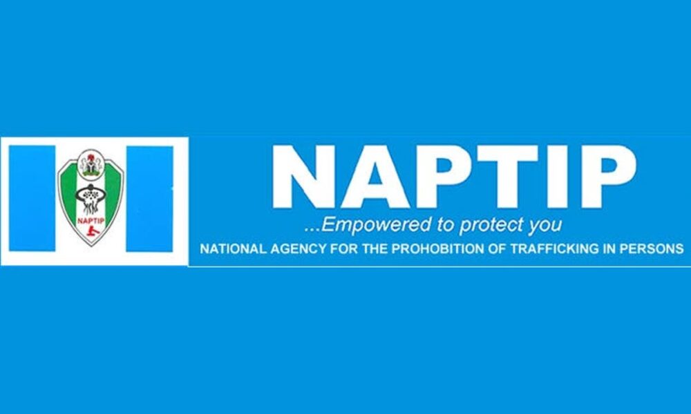 9 nigerian girls trafficked to ghana arrive handed over to naptip - nigeria newspapers online