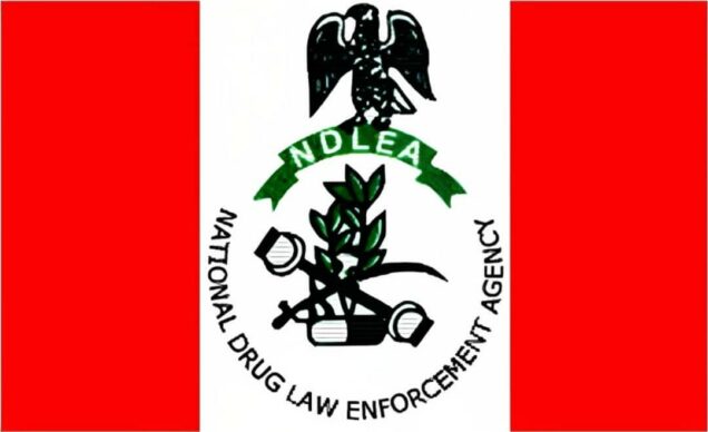 Ndlea seizes 230900 tramadol pills busts skuchies factory in ogun - nigeria newspapers online