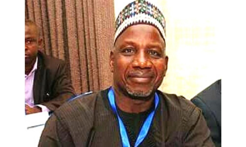 Ruling on Kano emirate crisis strange, confusing – Prof Yadudu