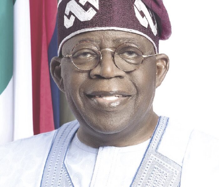 Why we must keep fire of democracy burning tinubu - nigeria newspapers online