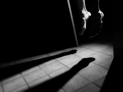 22-yr-old sent on errand found hanging in kwara - nigeria newspapers online