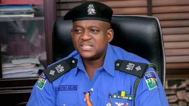 Police go after officers performing guard duty to man abusing naira in viral video - nigeria newspapers online