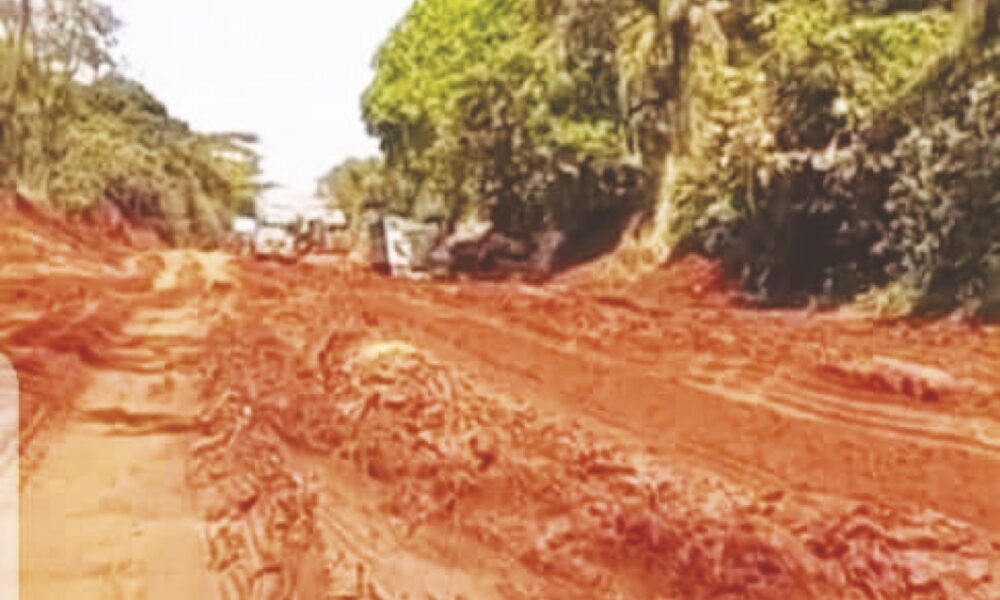 South east federal roads of horror - nigeria newspapers online