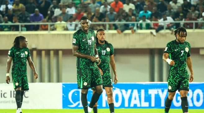 Super eagles wcup dreams in tatters after defeat to cheetahs - nigeria newspapers online