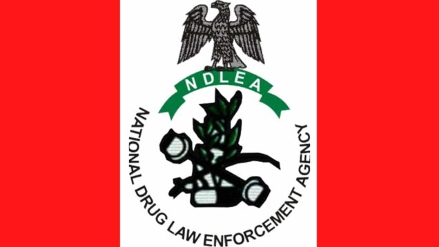 Ndlea intercepts 230600 tramadol tablets nabs 106 suspects in kano - nigeria newspapers online