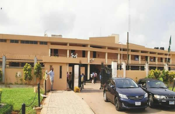 Suspended Edo lawmaker sues speaker over allegation of planting charms in assembly complex